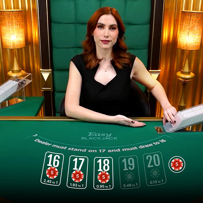 Blackjack 93rr